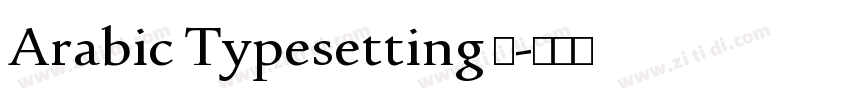 Arabic Typesetting 普字体转换